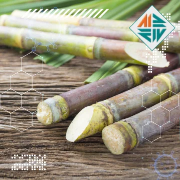 Sugar Processing Chemicals