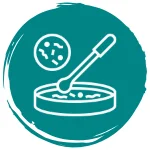 Microbiological Growth